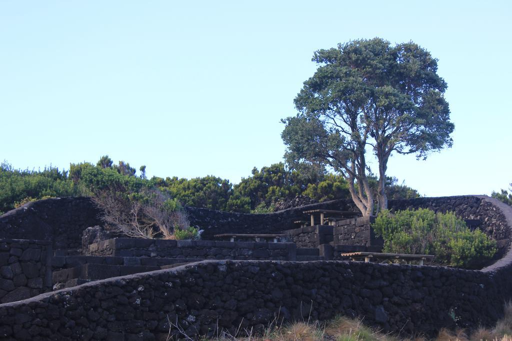 Adega Do Mirante Villa São Roque do Pico Værelse billede